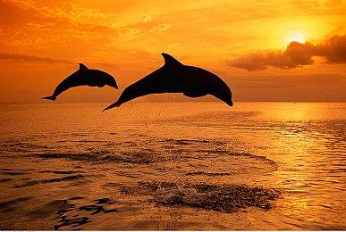 《原神》拾枝杂谈-「欧洛伦：影中释疑」